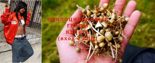 мет Баксан