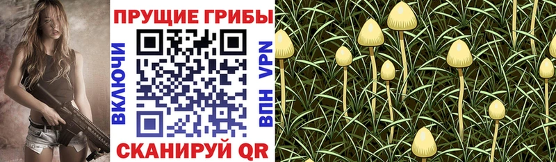Псилоцибиновые грибы ЛСД Рудня